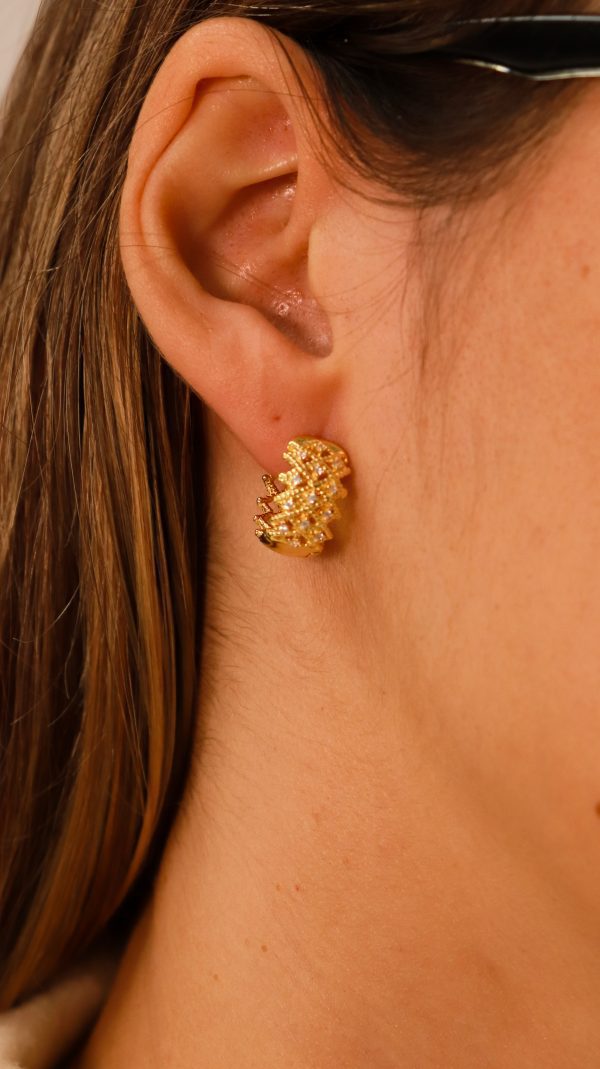 AURUMNOVEMBRO (109) AURUMNOVEMBRO (109)