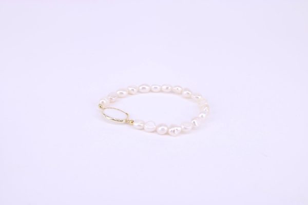 aapl35010 leitoso aapl35010 leitoso