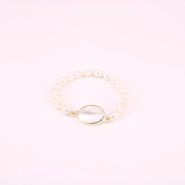 aapl35010 transparente