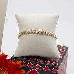 sllvl8 e sllpl3bi - Cópia