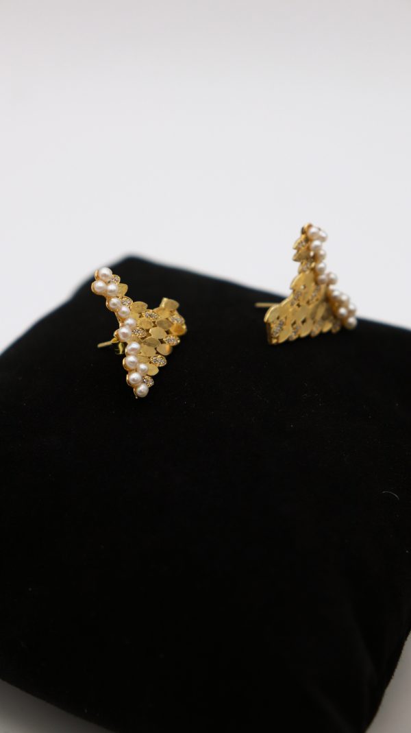 AURUMNOVEMBRO (31) AURUMNOVEMBRO (31)