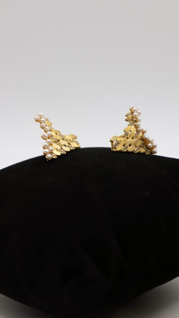 AURUMNOVEMBRO (33) AURUMNOVEMBRO (33)