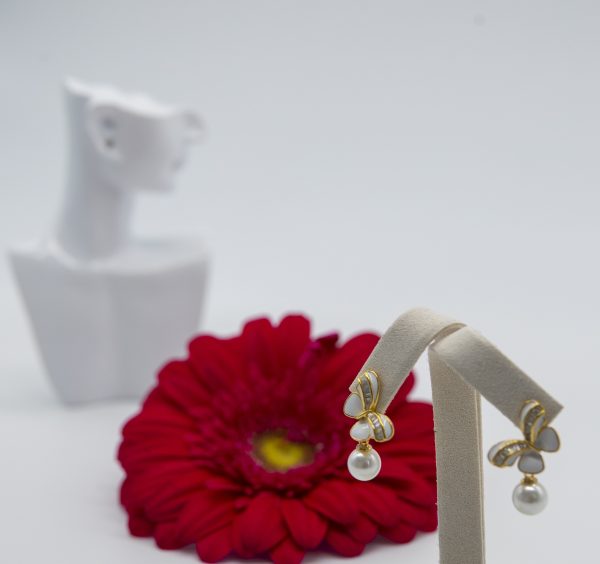 aibr21786d aibr21786d